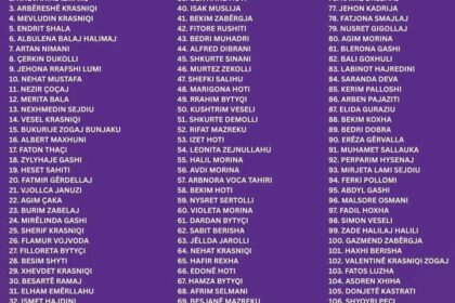 Ovo je lista NISMA na izborima 28. decembra.