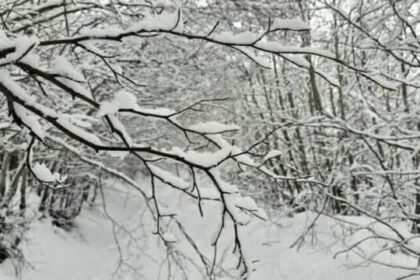 Zamrzavanje snega u promenljivim vremenskim uslovima, upozoravanje temperature do -20 stepeni menadžera MURAL odeljenja…