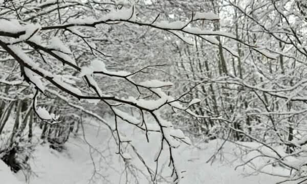 Zamrzavanje snega u promenljivim vremenskim uslovima, upozoravanje temperature do -20 stepeni menadžera MURAL odeljenja…