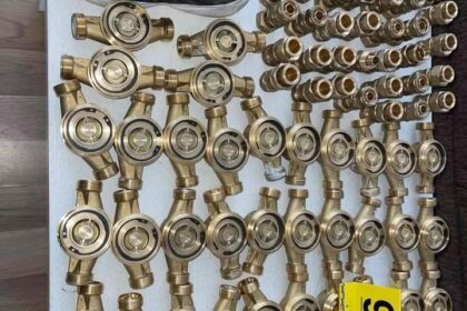 Policija u Vuštriju hapsi još dva osumnjièena umešana u krivična dela.