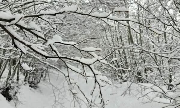 On je bio upozoren na prehlade i temperature do 20 stepeni godišnje na Kosovu, reaguje kosovska Hidrotehnologija IHMK…