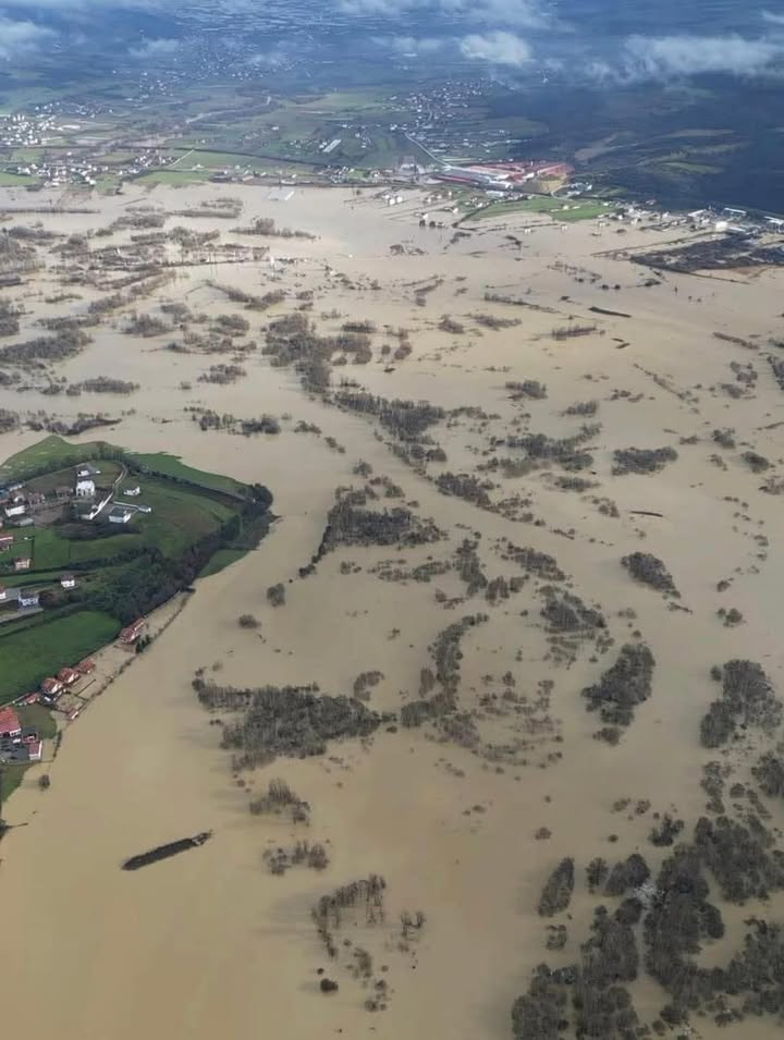 Beli Drini izlazi iz kreveta, situacija u Hasijevom Krajku
