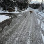 ⚠️ Kujdes për drejtuesit e automjeteve!