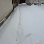 Banorët e Bresanës ankohen për trajtim të padrejtë në pastrimin e rrugëve Banorët e fshatit Bresan, në komunën e Drag…