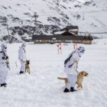 Ushtarët amerikanë dhe FSK stërviten në kushte dimërore 🇽🇰🇺🇲 — Dragash Info