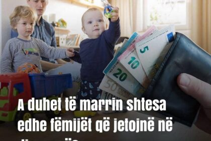 Tema dana: Poslednji dani na Kosovu imali su debatu o dodacima dece koja žive u dijaspori.