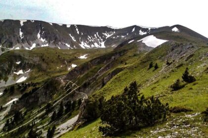 Top Painting] – Dragaš Info