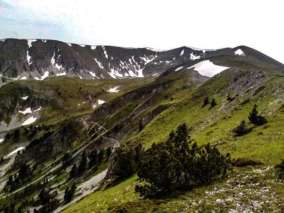 Top Painting] – Dragaš Info