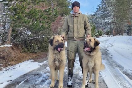 Farmer Florent Rufati iz sela Bresane (Opoja, Dragaš), između snega i dva deltara Ilir simbol tradicije i ponosa…