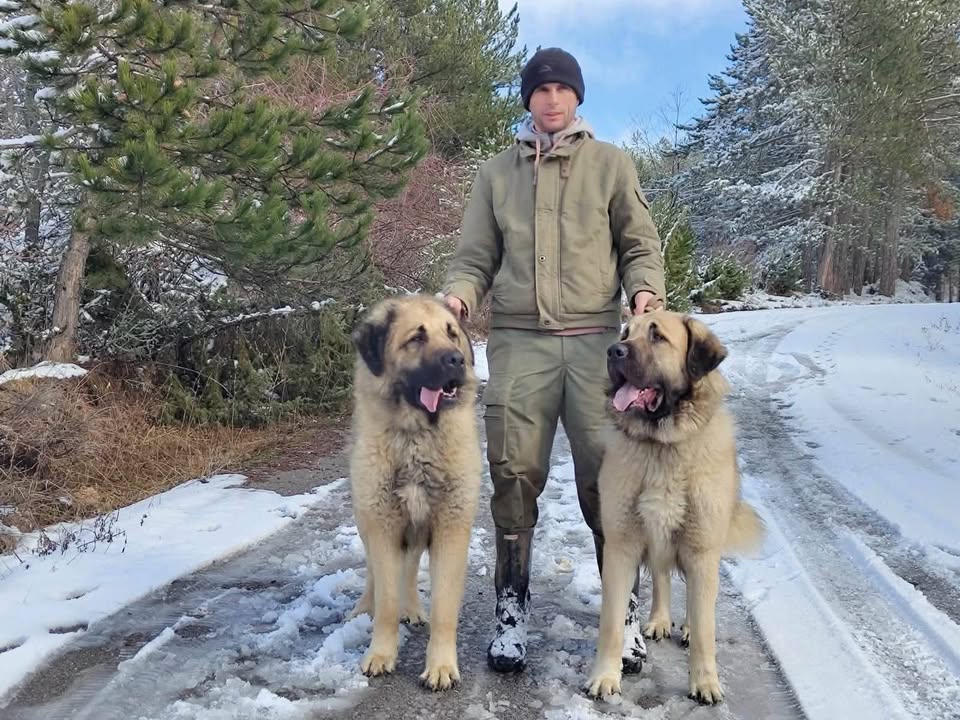 Farmer Florent Rufati iz sela Bresane (Opoja, Dragaš), između snega i dva deltara Ilir simbol tradicije i ponosa…