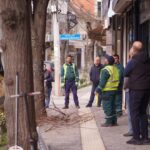 Vijon aksioni i krasitjes së pemëve në Prizren Drejtoria e Shërbimeve Publike në Prizren po vazhdon aksionin e krasit…