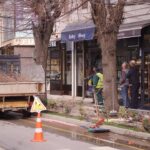 Vijon aksioni i krasitjes së pemëve në Prizren Drejtoria e Shërbimeve Publike në Prizren po vazhdon aksionin e krasit…