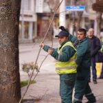 Vijon aksioni i krasitjes së pemëve në Prizren Drejtoria e Shërbimeve Publike në Prizren po vazhdon aksionin e krasit…