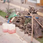 Vijon aksioni i krasitjes së pemëve në Prizren Drejtoria e Shërbimeve Publike në Prizren po vazhdon aksionin e krasit…