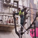 Vijon aksioni i krasitjes së pemëve në Prizren Drejtoria e Shërbimeve Publike në Prizren po vazhdon aksionin e krasit…