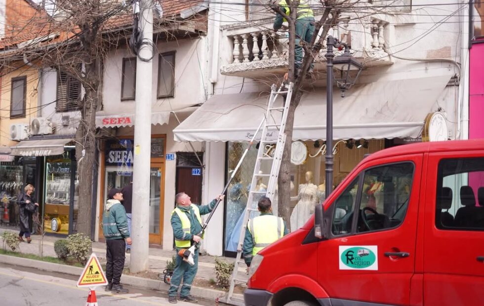 Direkcija za javne usluge Prizrena u Prizrenu dolazi do akcije orezivanjem…
