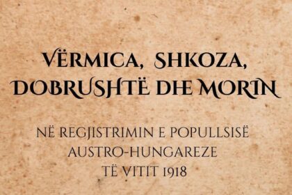 Autro – ugarski registracioni materijal objavljen 1918. godine za Vremicu, Skazu, Dobrustu i Morin