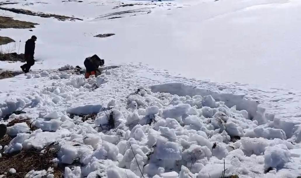 FB_IMG_1775754315113