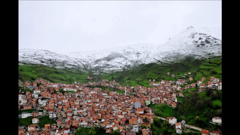 FB_IMG_1776882877781