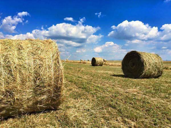 FB_IMG_1777036166729